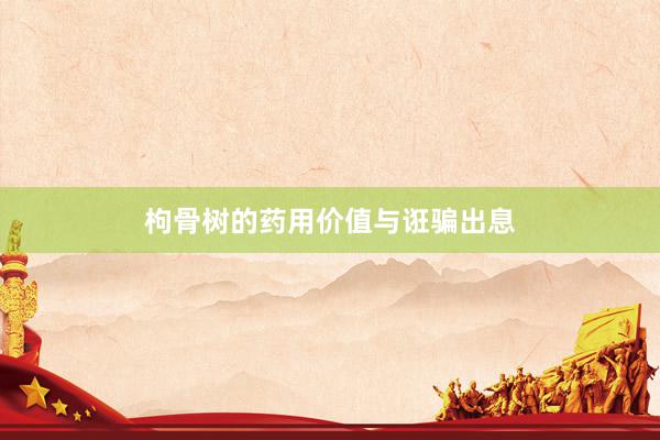 枸骨树的药用价值与诳骗出息